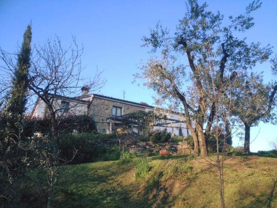 Agriturismo Menghino Nievole 외부 사진